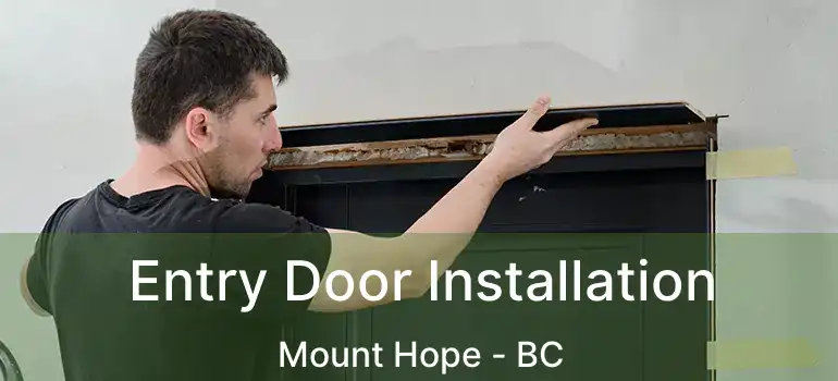  Entry Door Installation Mount Hope - BC