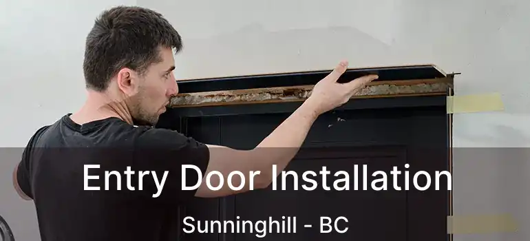  Entry Door Installation Sunninghill - BC