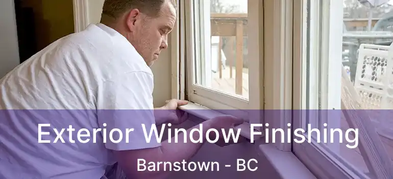  Exterior Window Finishing Barnstown - BC