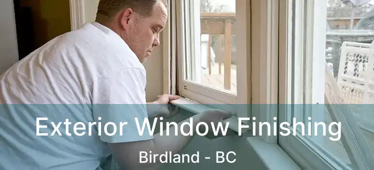  Exterior Window Finishing Birdland - BC