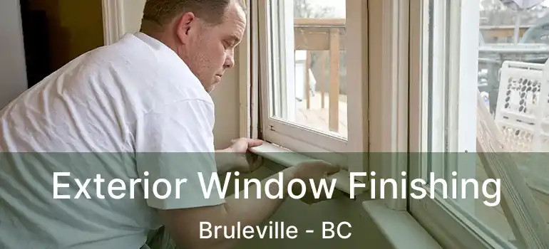  Exterior Window Finishing Bruleville - BC