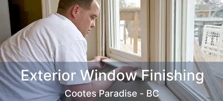  Exterior Window Finishing Cootes Paradise - BC
