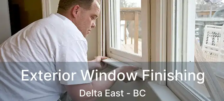 Exterior Window Finishing Delta East - BC