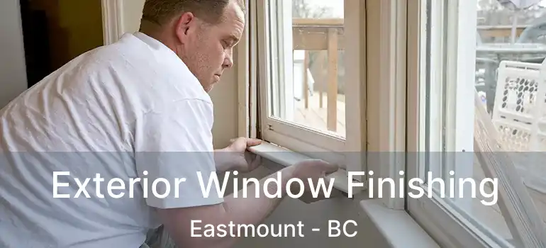  Exterior Window Finishing Eastmount - BC