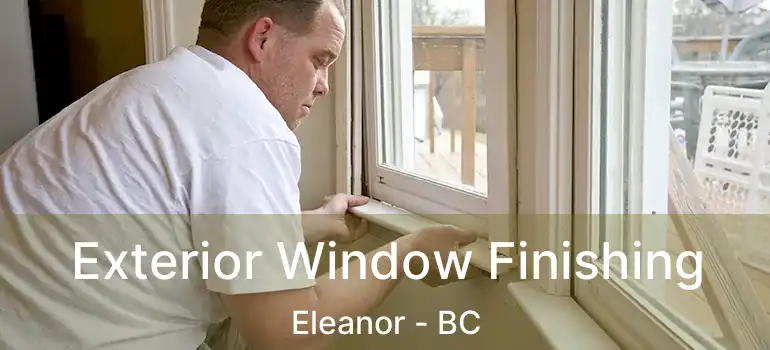  Exterior Window Finishing Eleanor - BC