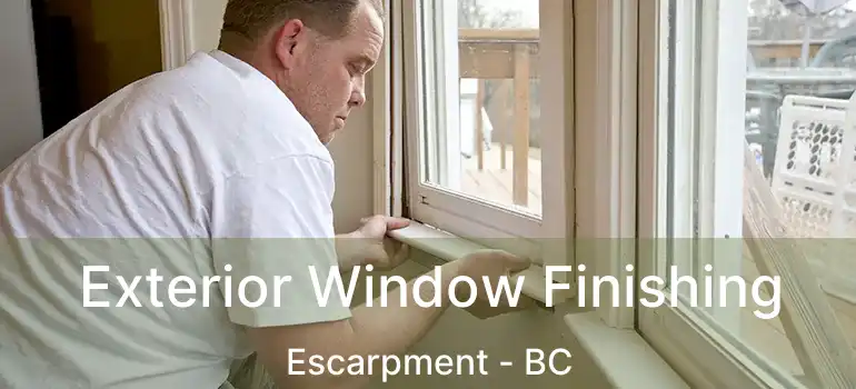  Exterior Window Finishing Escarpment - BC