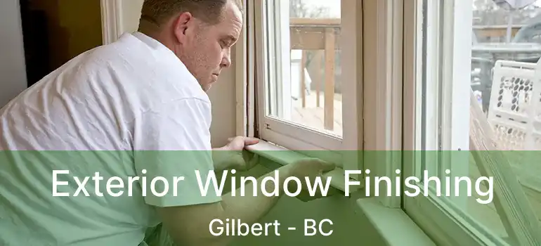  Exterior Window Finishing Gilbert - BC
