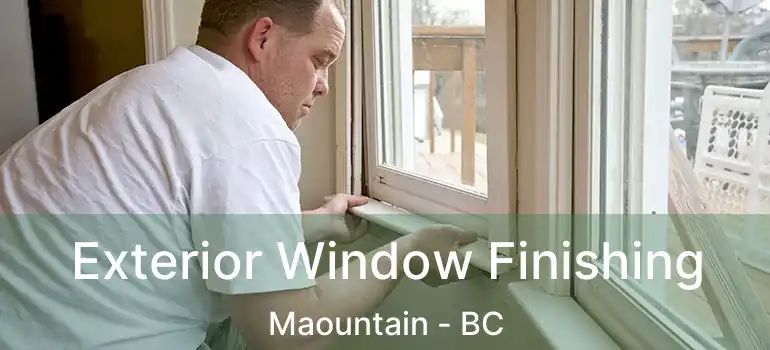  Exterior Window Finishing Maountain - BC
