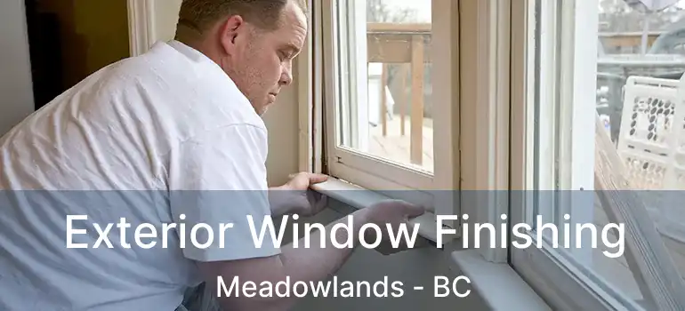  Exterior Window Finishing Meadowlands - BC