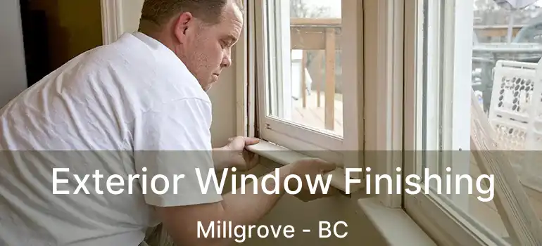  Exterior Window Finishing Millgrove - BC