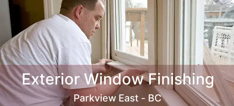  Exterior Window Finishing Parkview East - BC