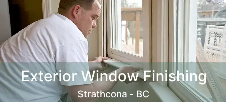  Exterior Window Finishing Strathcona - BC