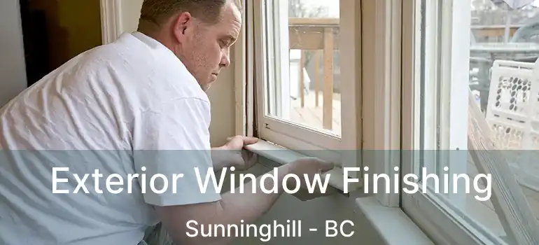  Exterior Window Finishing Sunninghill - BC