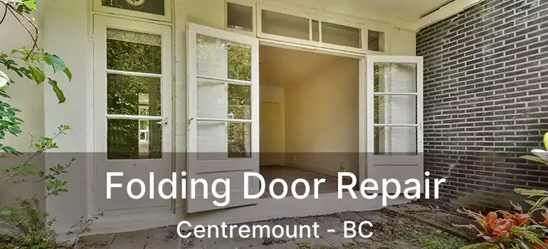  Folding Door Repair Centremount - BC
