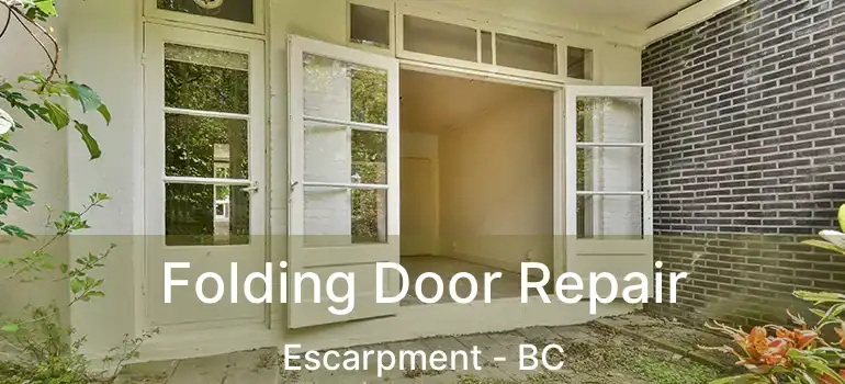  Folding Door Repair Escarpment - BC