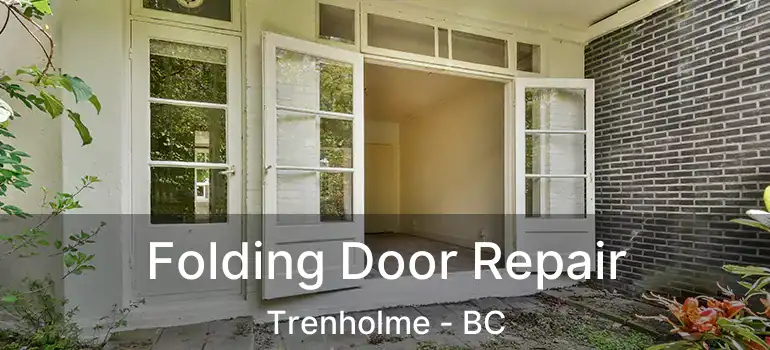  Folding Door Repair Trenholme - BC
