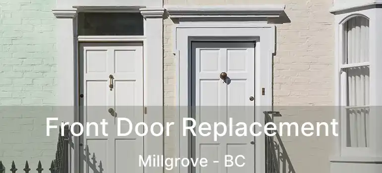  Front Door Replacement Millgrove - BC