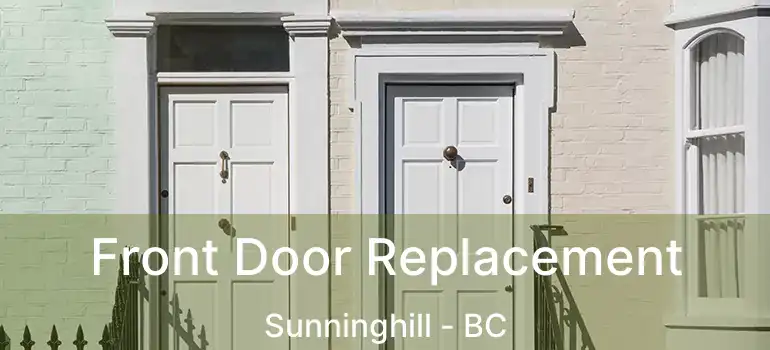  Front Door Replacement Sunninghill - BC