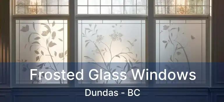  Frosted Glass Windows Dundas - BC