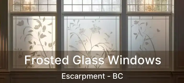  Frosted Glass Windows Escarpment - BC