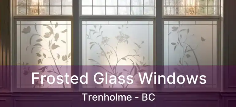  Frosted Glass Windows Trenholme - BC