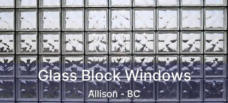 Glass Block Windows Allison - BC