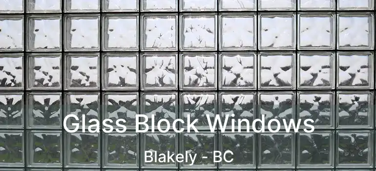  Glass Block Windows Blakely - BC