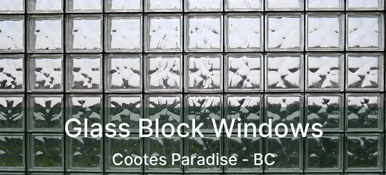  Glass Block Windows Cootes Paradise - BC