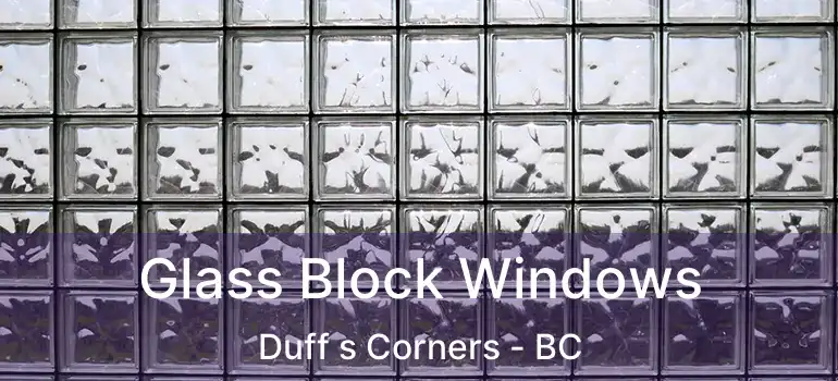  Glass Block Windows Duff s Corners - BC