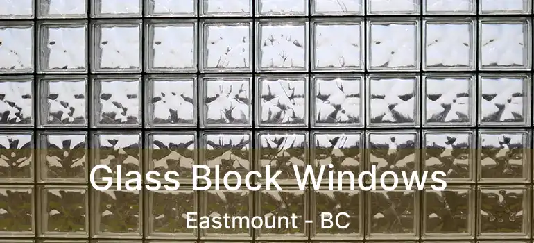  Glass Block Windows Eastmount - BC