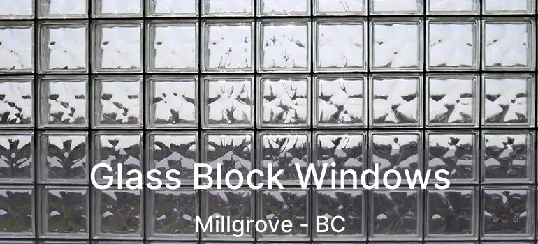  Glass Block Windows Millgrove - BC
