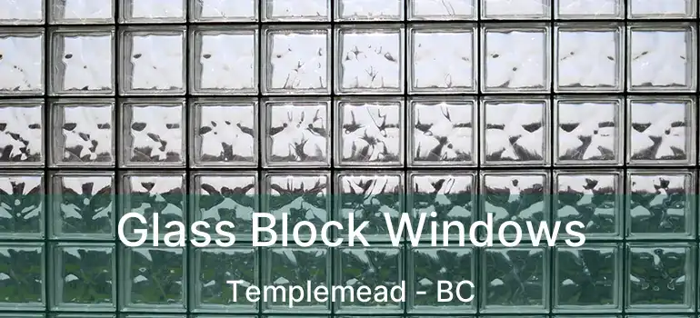  Glass Block Windows Templemead - BC