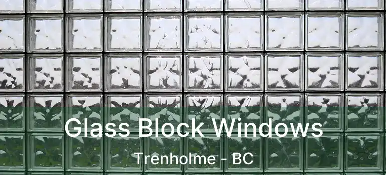  Glass Block Windows Trenholme - BC
