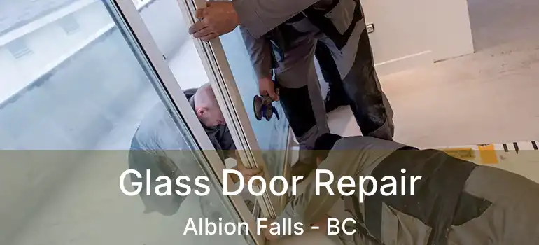  Glass Door Repair Albion Falls - BC