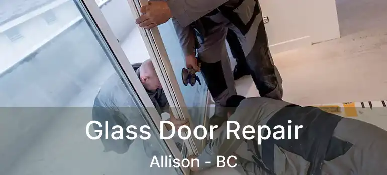  Glass Door Repair Allison - BC