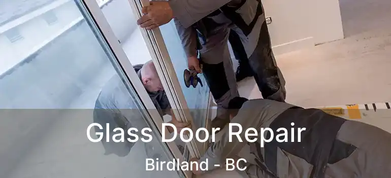  Glass Door Repair Birdland - BC