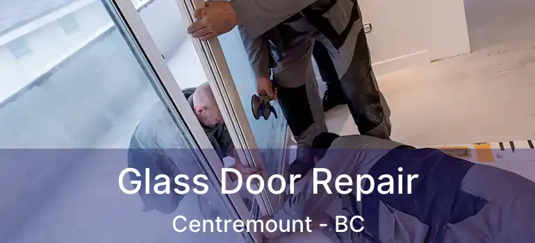  Glass Door Repair Centremount - BC