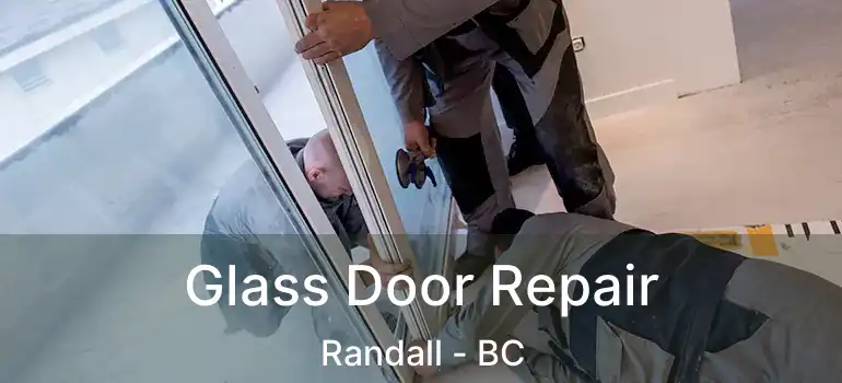  Glass Door Repair Randall - BC