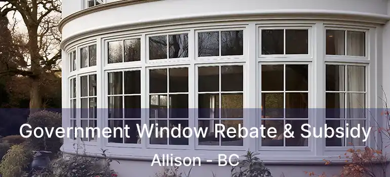  Government Window Rebate & Subsidy Allison - BC