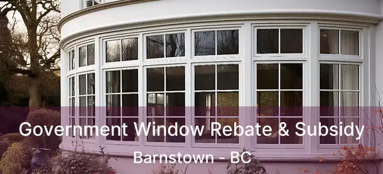  Government Window Rebate & Subsidy Barnstown - BC