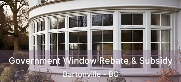  Government Window Rebate & Subsidy Bartonville - BC