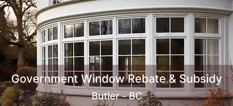  Government Window Rebate & Subsidy Butler - BC