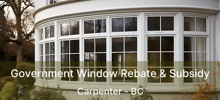  Government Window Rebate & Subsidy Carpenter - BC