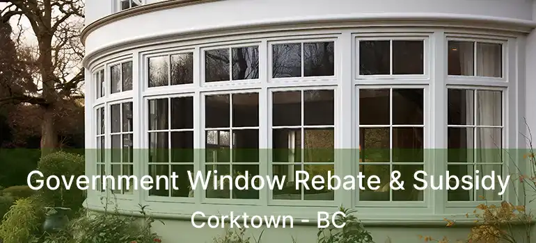  Government Window Rebate & Subsidy Corktown - BC