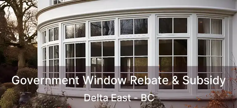  Government Window Rebate & Subsidy Delta East - BC