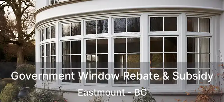  Government Window Rebate & Subsidy Eastmount - BC