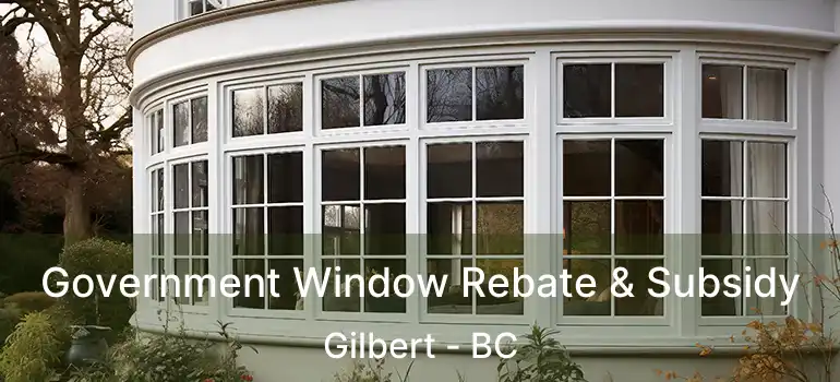  Government Window Rebate & Subsidy Gilbert - BC