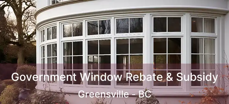  Government Window Rebate & Subsidy Greensville - BC
