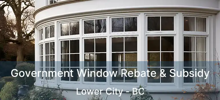  Government Window Rebate & Subsidy Lower City - BC