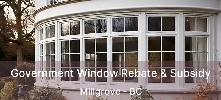  Government Window Rebate & Subsidy Millgrove - BC